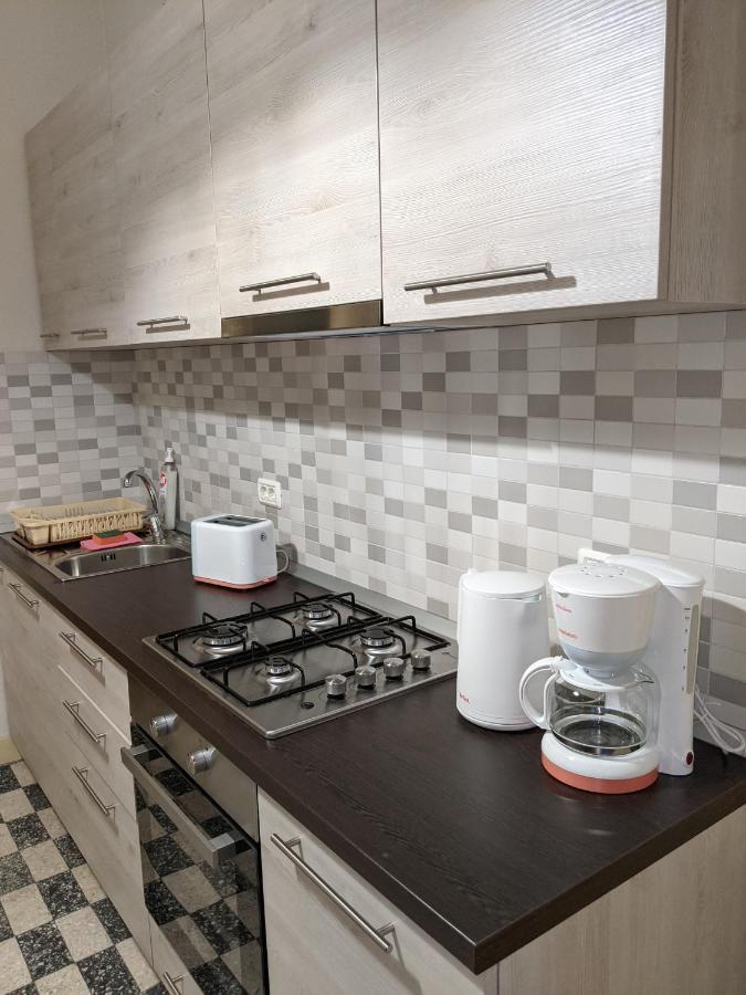 Cristian Apartment Near Old Town Temesvár Kültér fotó