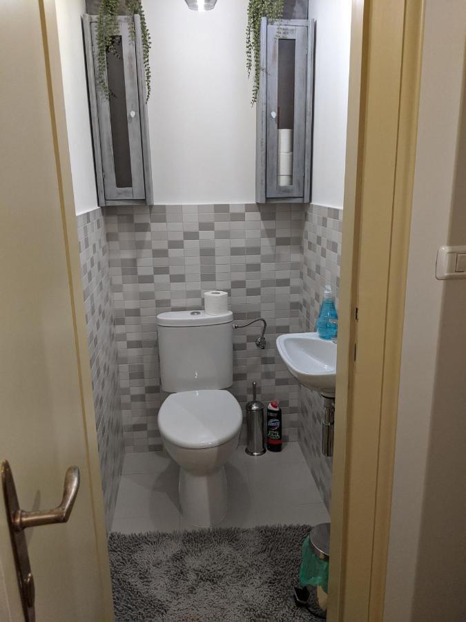 Cristian Apartment Near Old Town Temesvár Kültér fotó