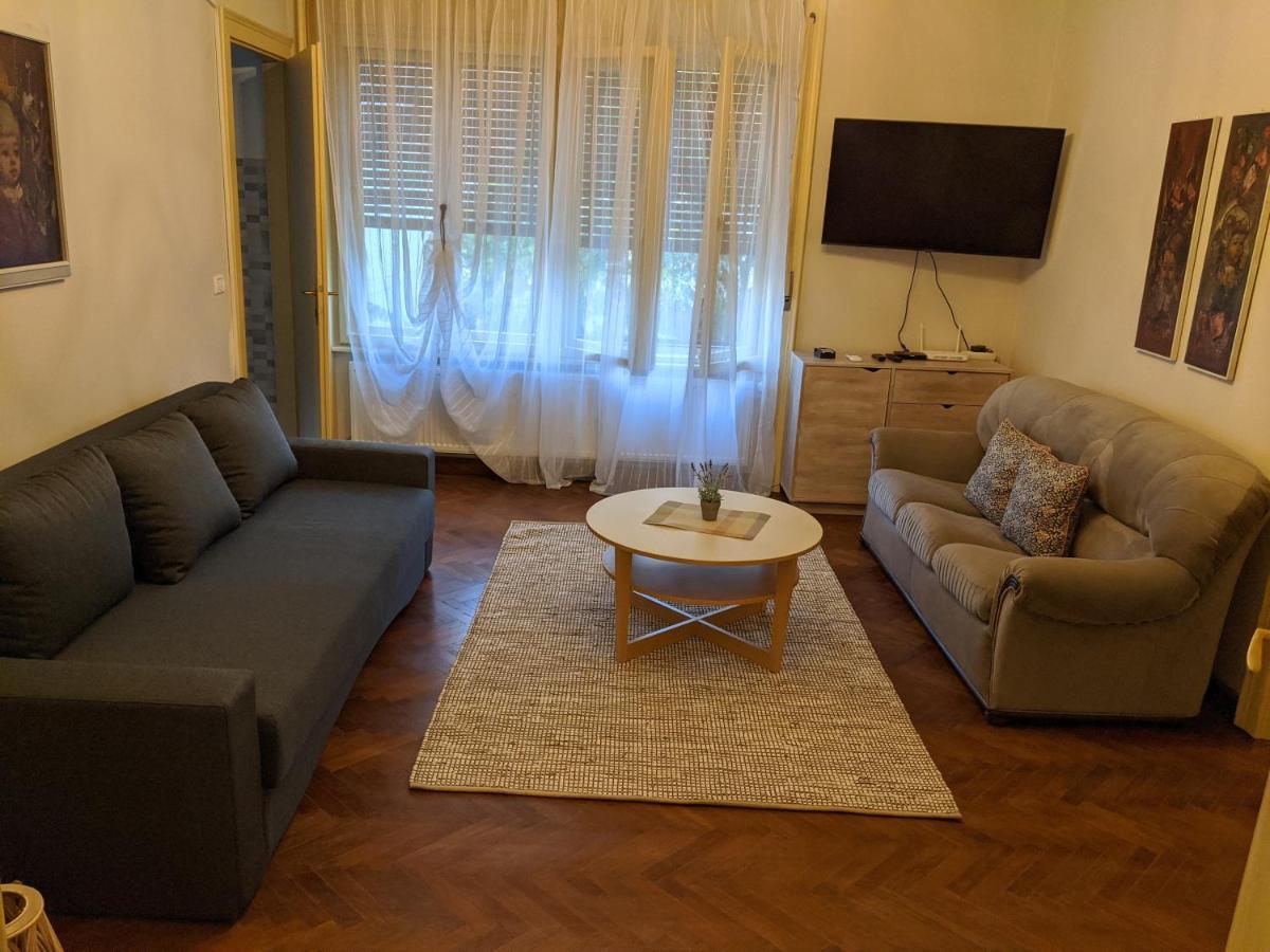 Cristian Apartment Near Old Town Temesvár Kültér fotó