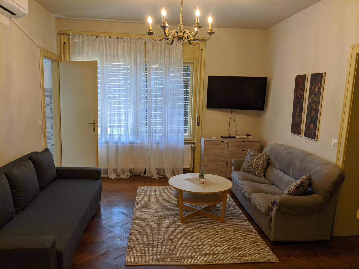Cristian Apartment Near Old Town Temesvár Kültér fotó